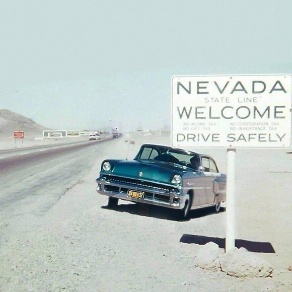 Meet your Posher, Luna - Picture 2 of 4